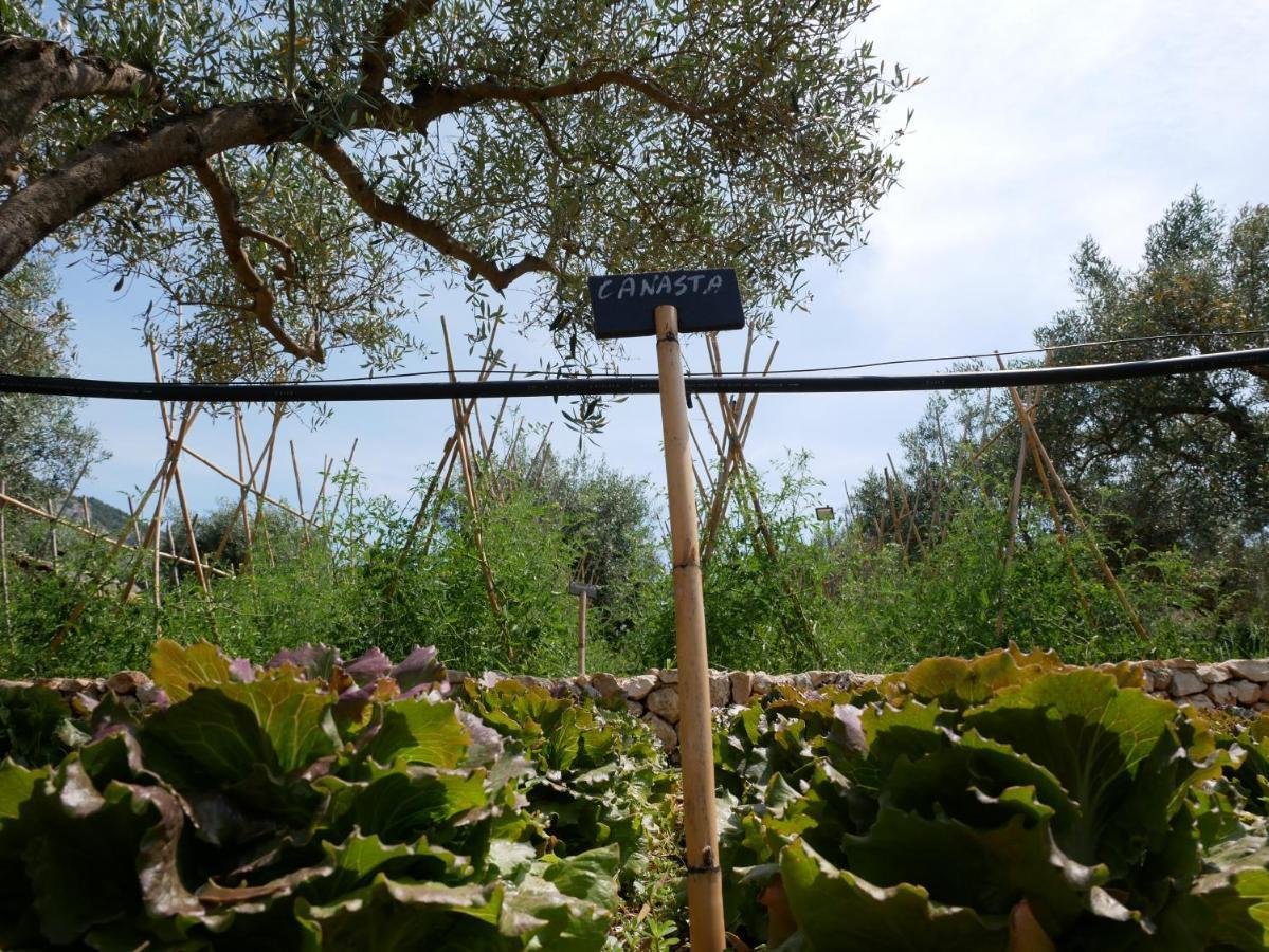 Pantalica Ranch Agriturismo Siciliano Sortino Exterior foto